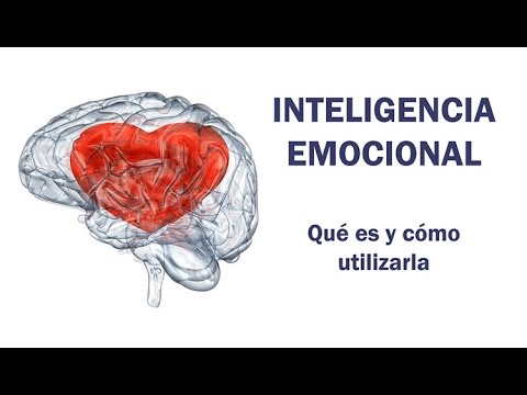 A que se llama inteligencia emocional