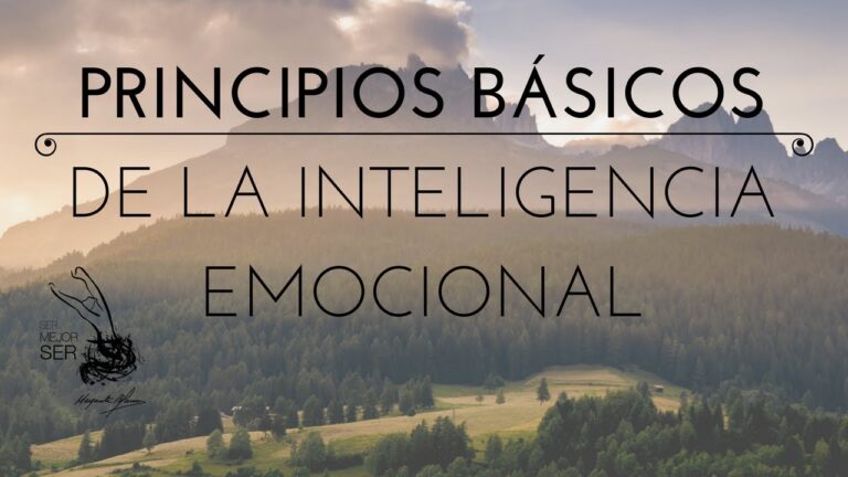 Principios basicos de la inteligencia emocional